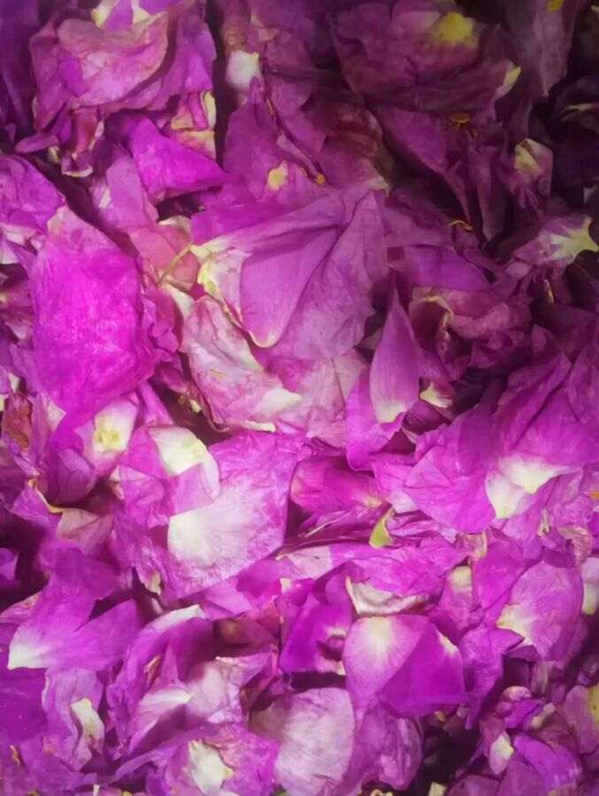 5c109d8c0c322.jpg QQ圖片20181212132835.jpg